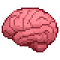 Brain icon
